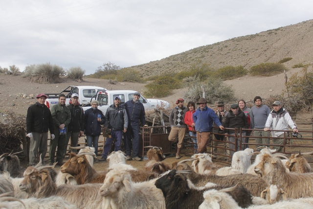 Revisación invernal del estado de los animales
