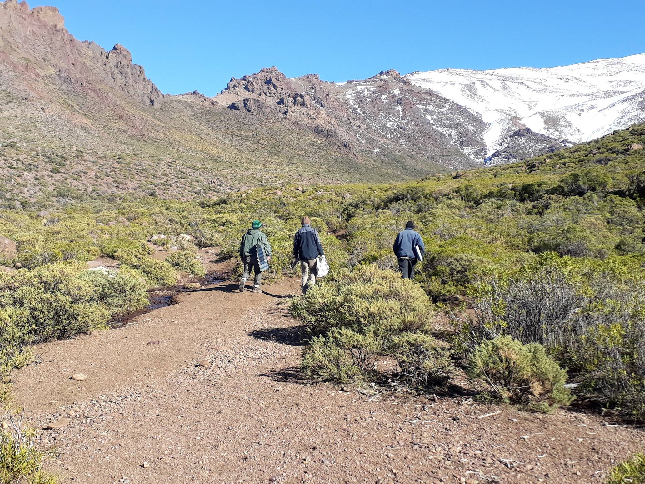 Planificación de actividades