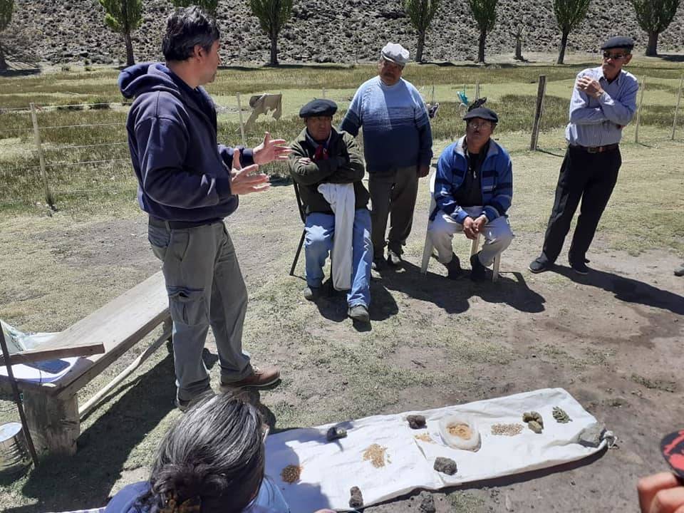 Capacitación sobre Nutrición Animal. Destete en ovinos y bovinos