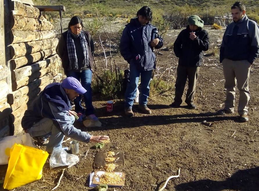 Taller de Alimentación Animal