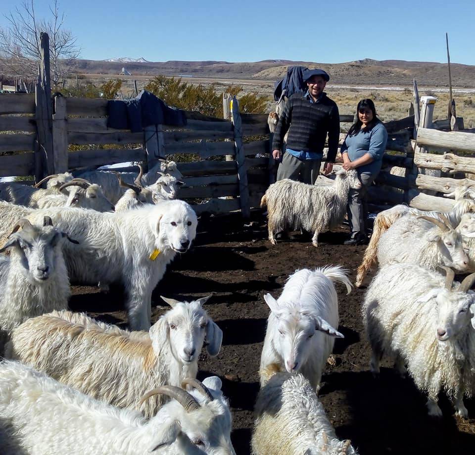 Medición de preparto