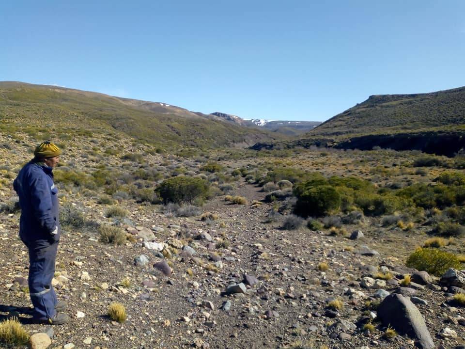 Visita a campos demostradores