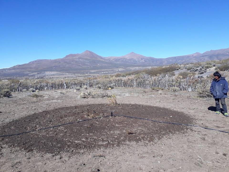 Riego por aspersión en Colipilli