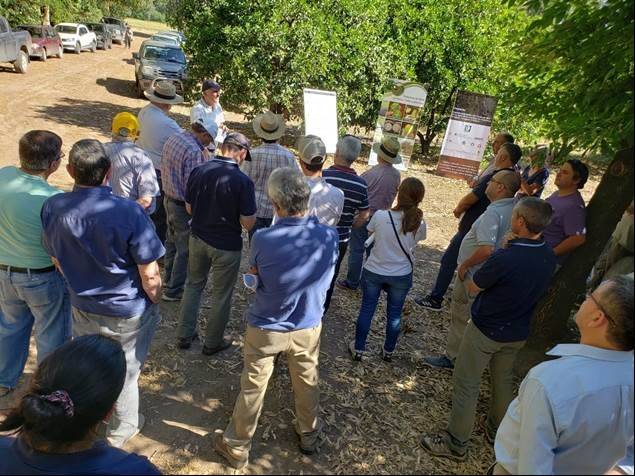 Almost a year running the FONTAGRO Project