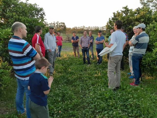 HLB Vector Control Project Progress in FONTAGRO Knowledge Week 2020