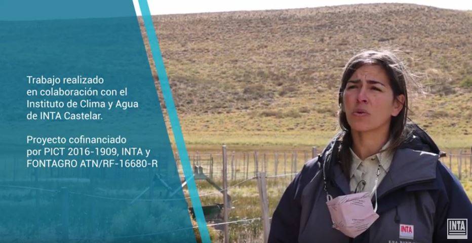 Balance de gases de efecto invernadero en mallines de Patagonia Norte 