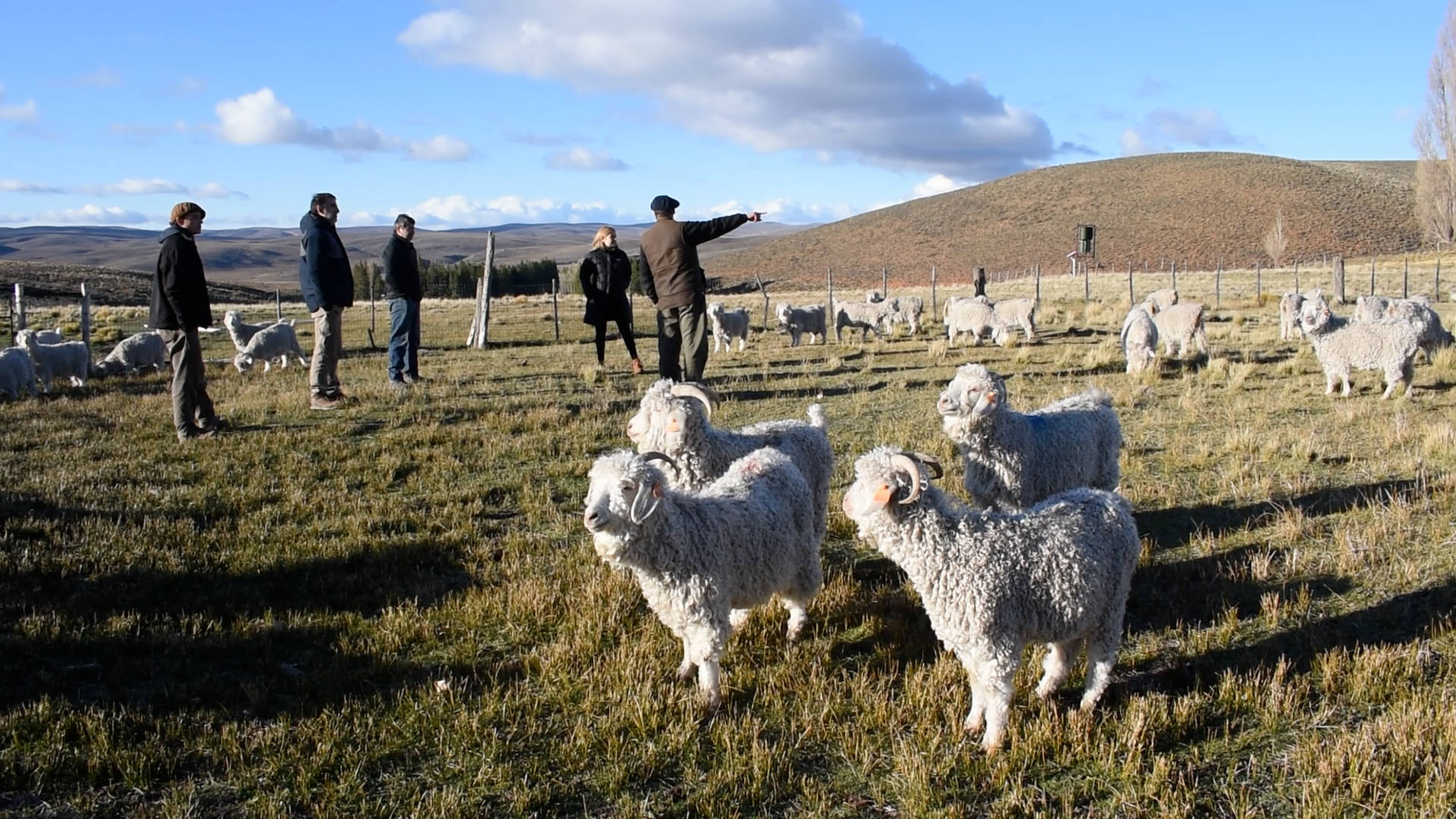 Visita en el Territorio