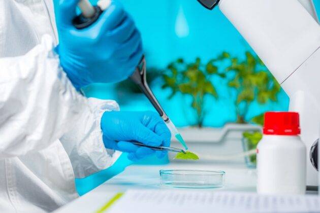 Ecuador approves the technical guide for crops obtained through Gene Editing.