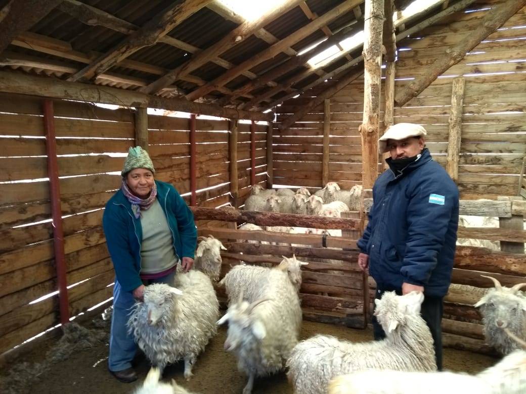 Suplementación estratégica