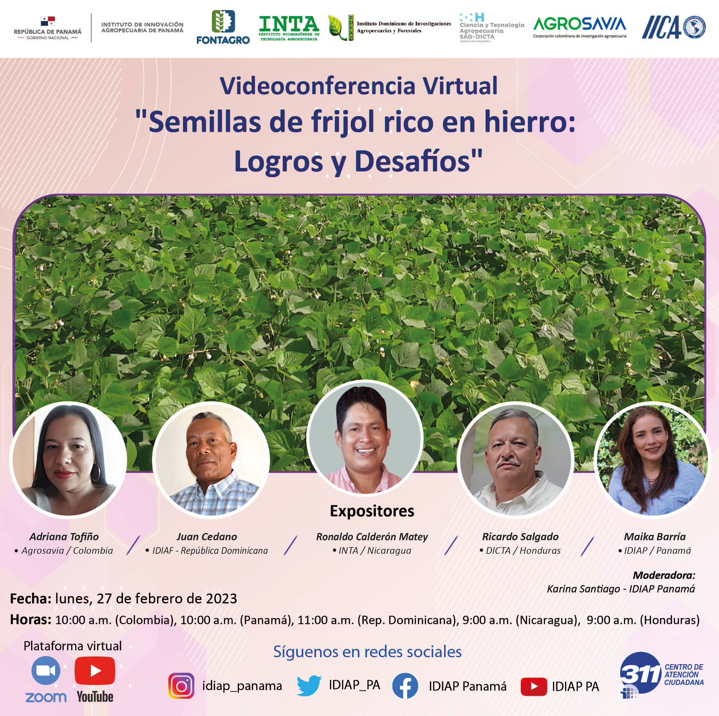 Virtual Videoconference "Iron-rich bean seeds: achievements and challenges".