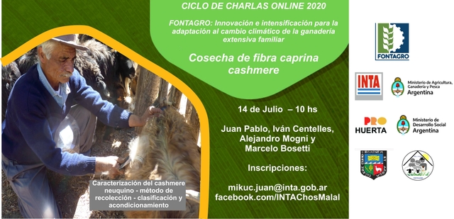 Charla online: Cosecha de fibra cashmere