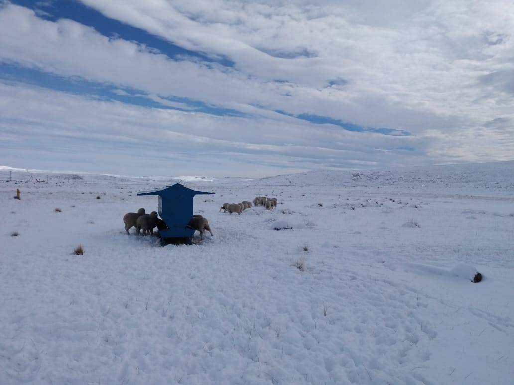 Suplementación invernal