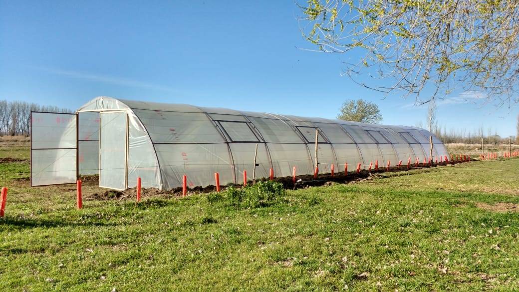 Construcción de invernaderos 