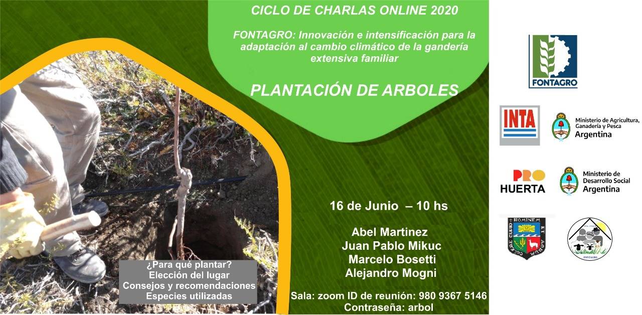 Charla online: Plantación de árboles