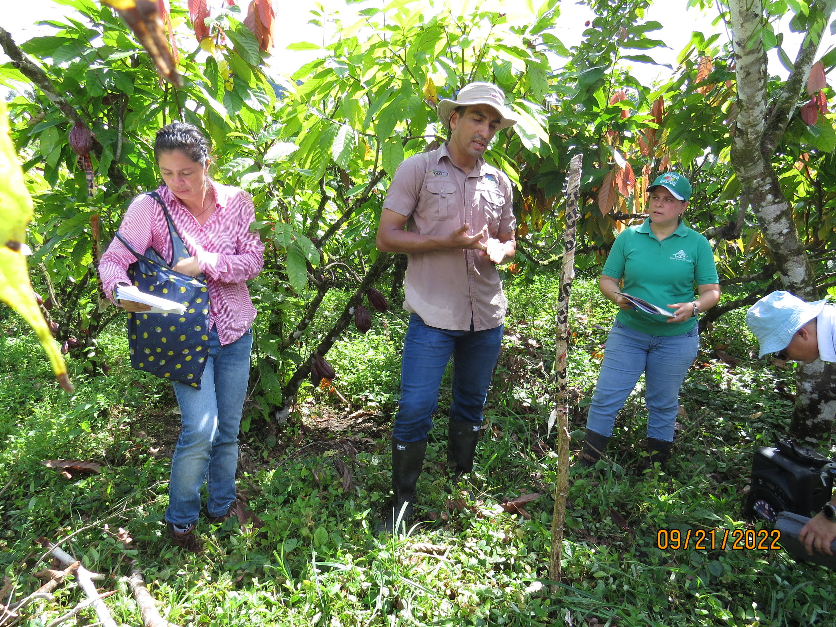 347 women are trained in cocoa production in three countries
