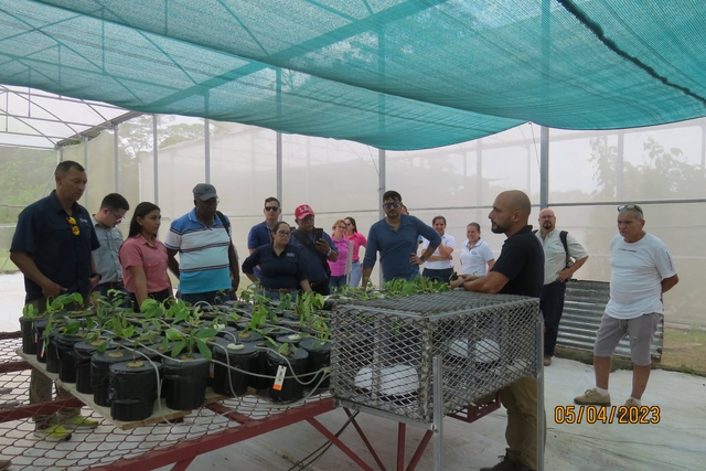 Technical Mission of Ecuador, technicians and producers visit INTA cocoa investigations in Costa Rica