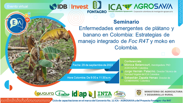 Continúa el ciclo de capacitaciones para la prevención y manejo de Foc R4T