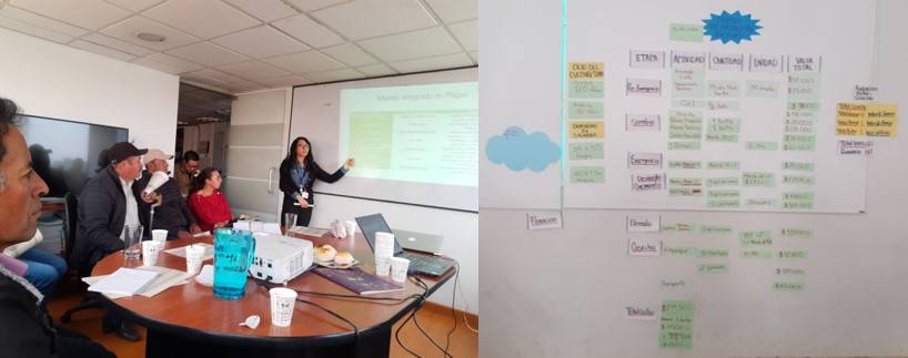 Territorial Innovation System (TIS) in potato