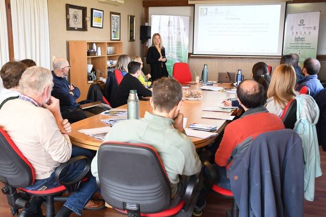 Validation stage of the LECHECK app