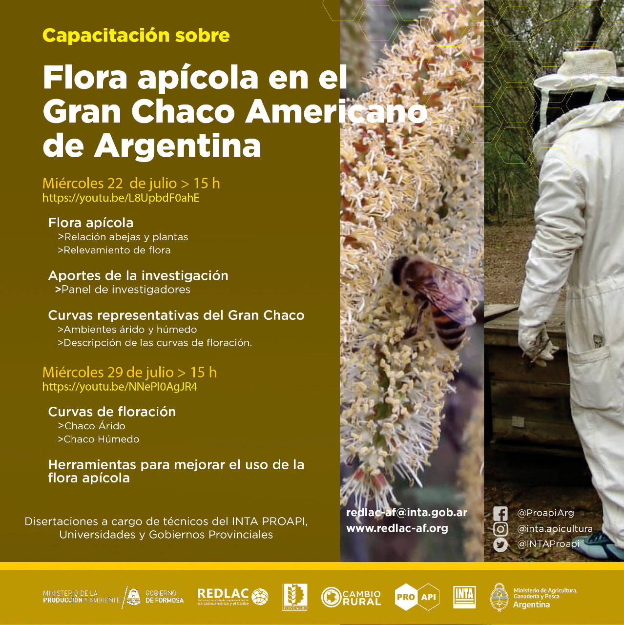 Training on Beekeeping Flora in the Great American Chaco of Argentina