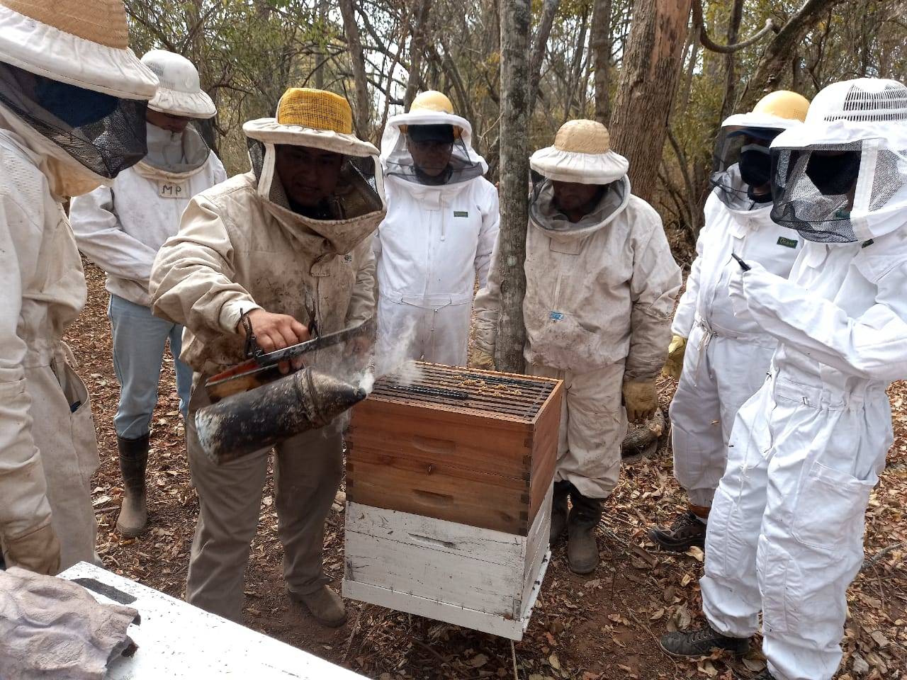 Unidades Demostrativas Apícolas, una herramienta de capacitación en el territorio