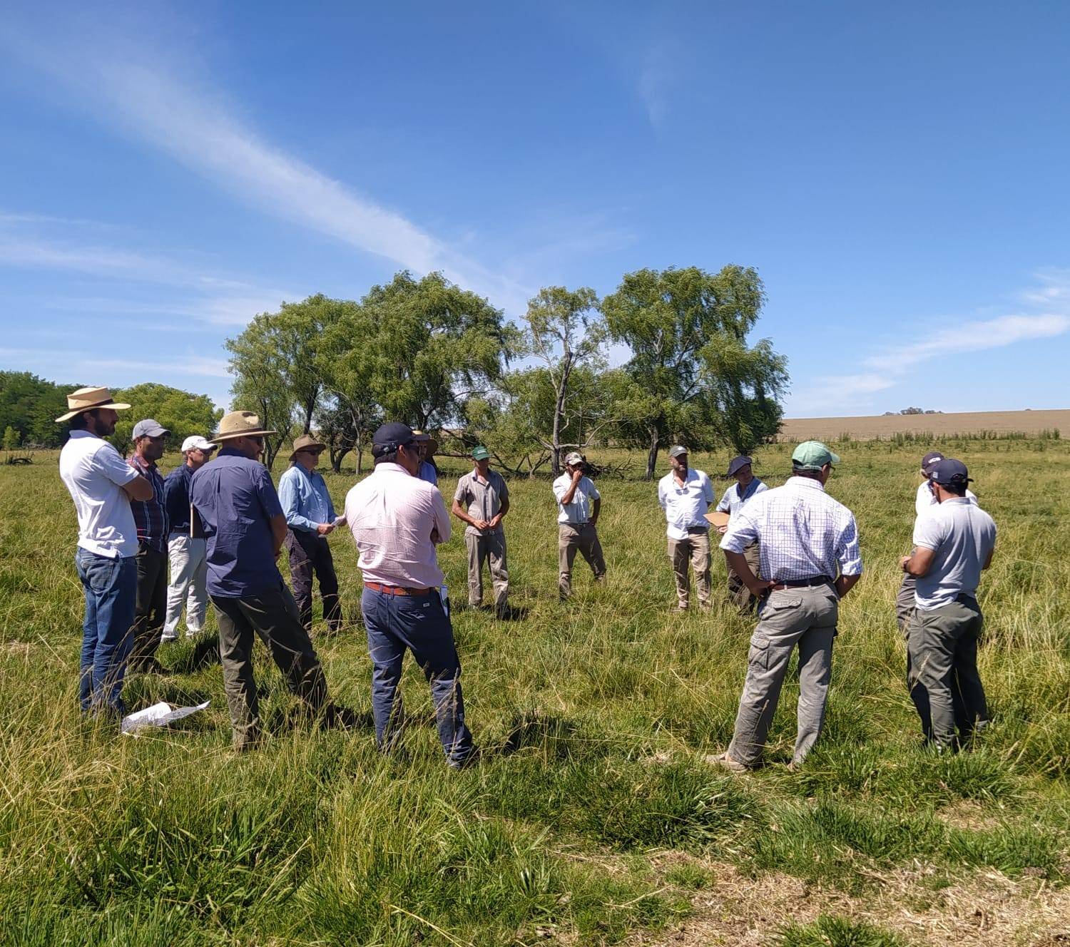 Grazing network participates in the forage day, visits farms in Argentina.