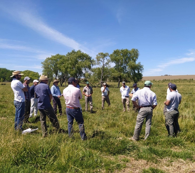 Grazing network participates in the forage day, visits farms in Argentina.