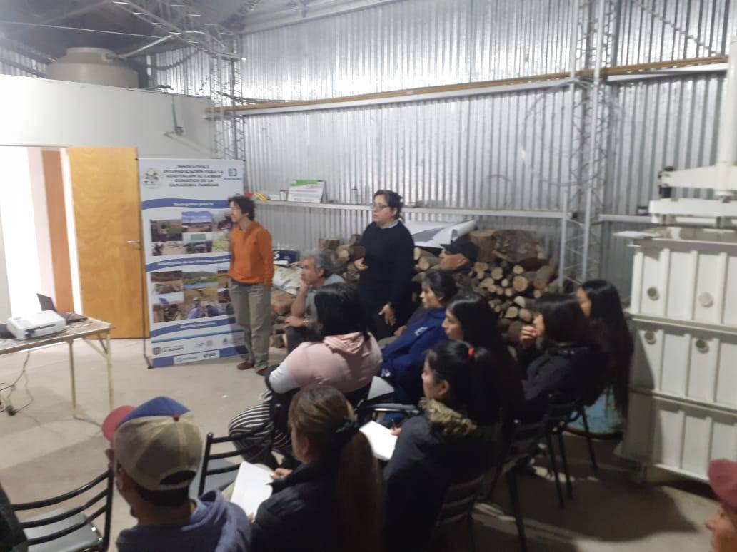 Capacitación sobre métodos no letales de control de depredación en ganado