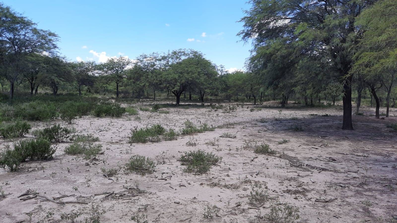 Drought complicates the plans