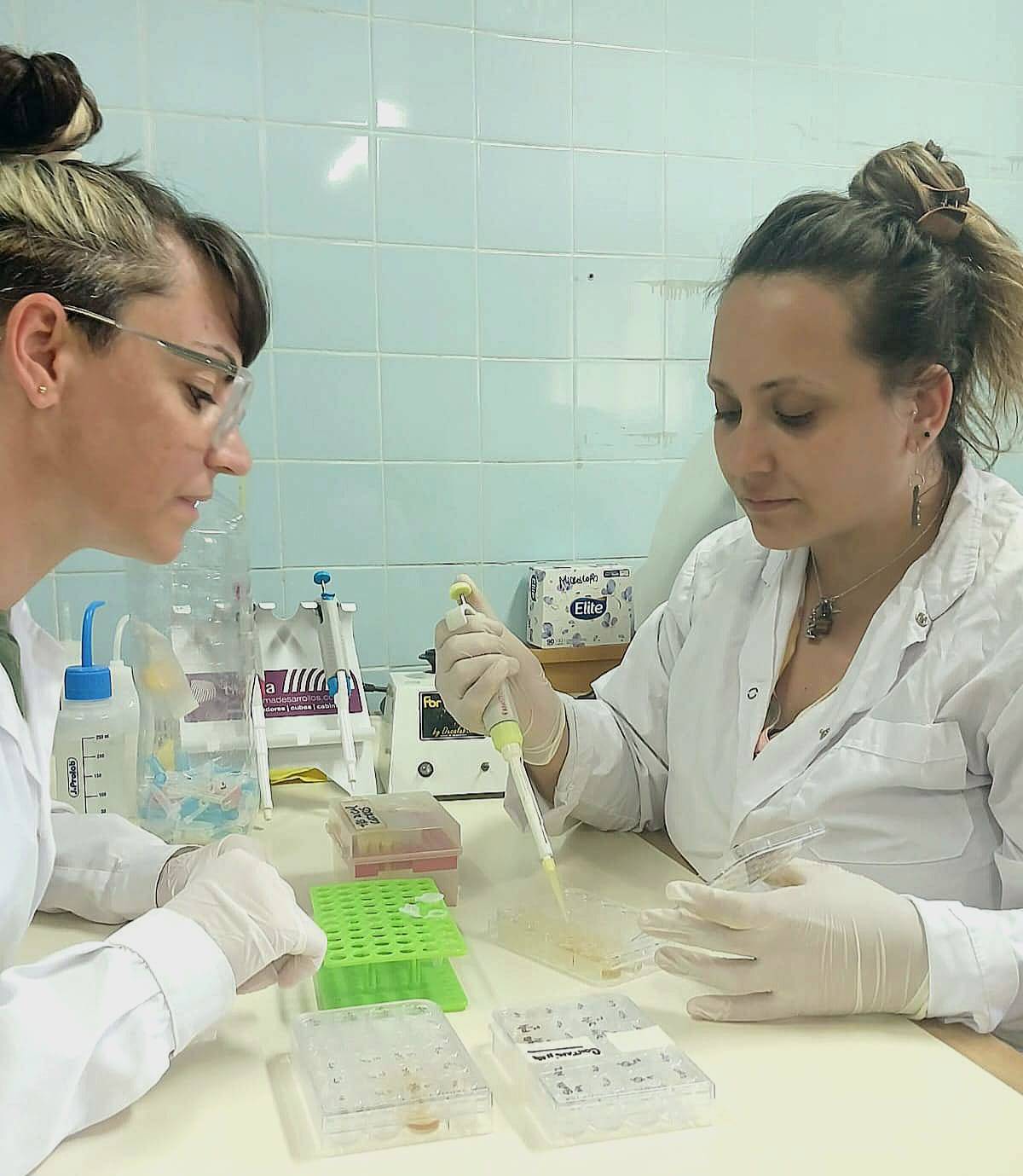 Commencement of In Vitro Experimental Trials in the Search for Native Natural Compounds with Anticoccidial Activity