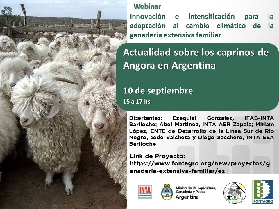 Webinar: Actualidad sobre los caprinos de angora en Argentina