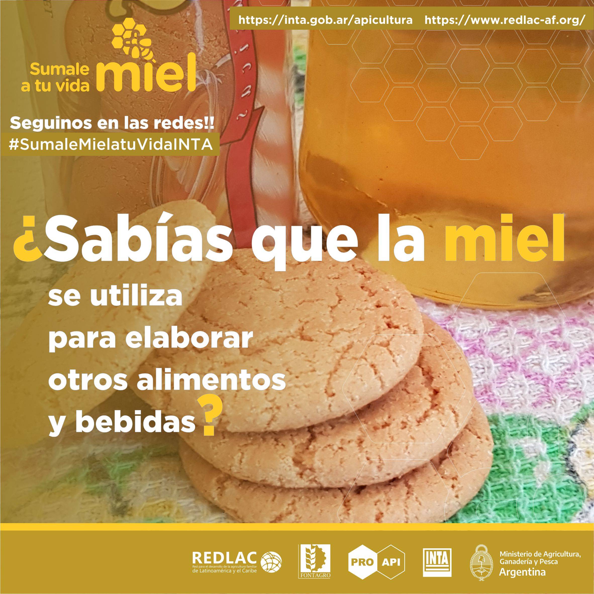 Honey for the production of food and beverages