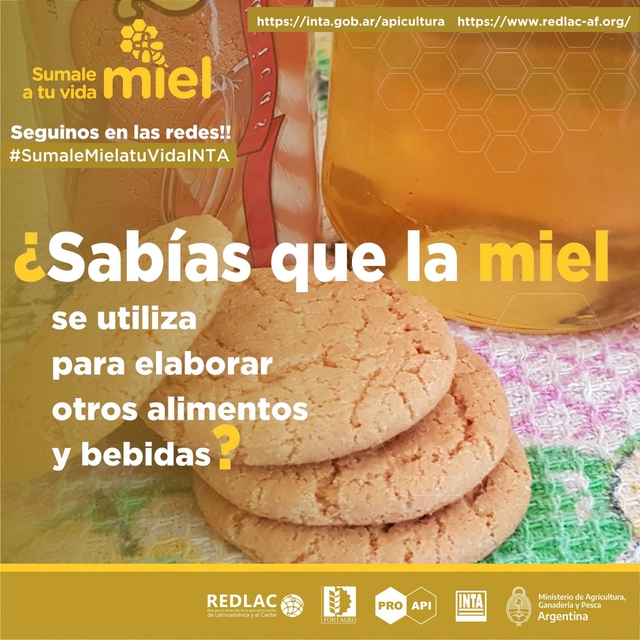 Honey for the production of food and beverages