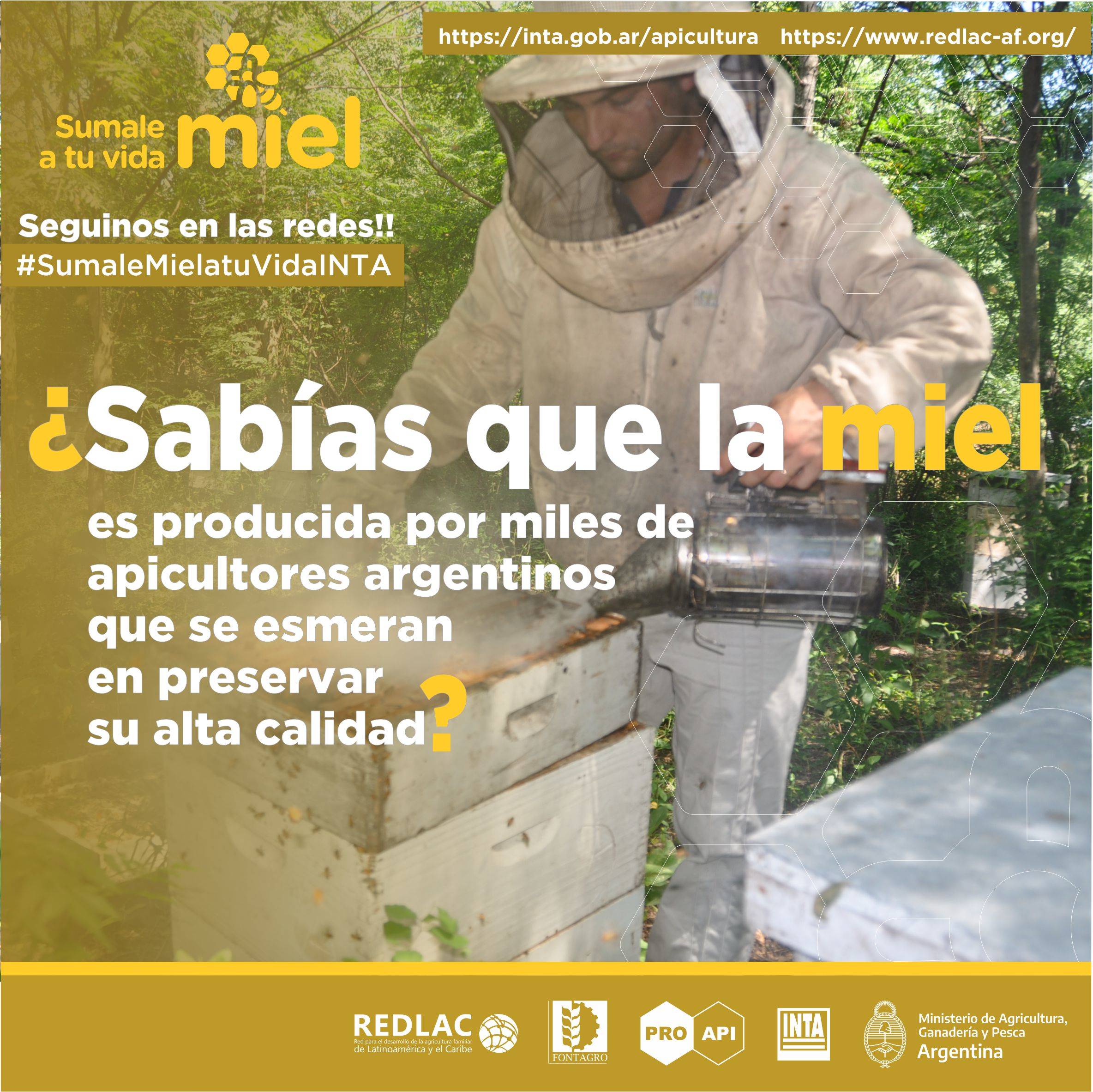 Argentine beekeepers strive to preserve the quality of honey