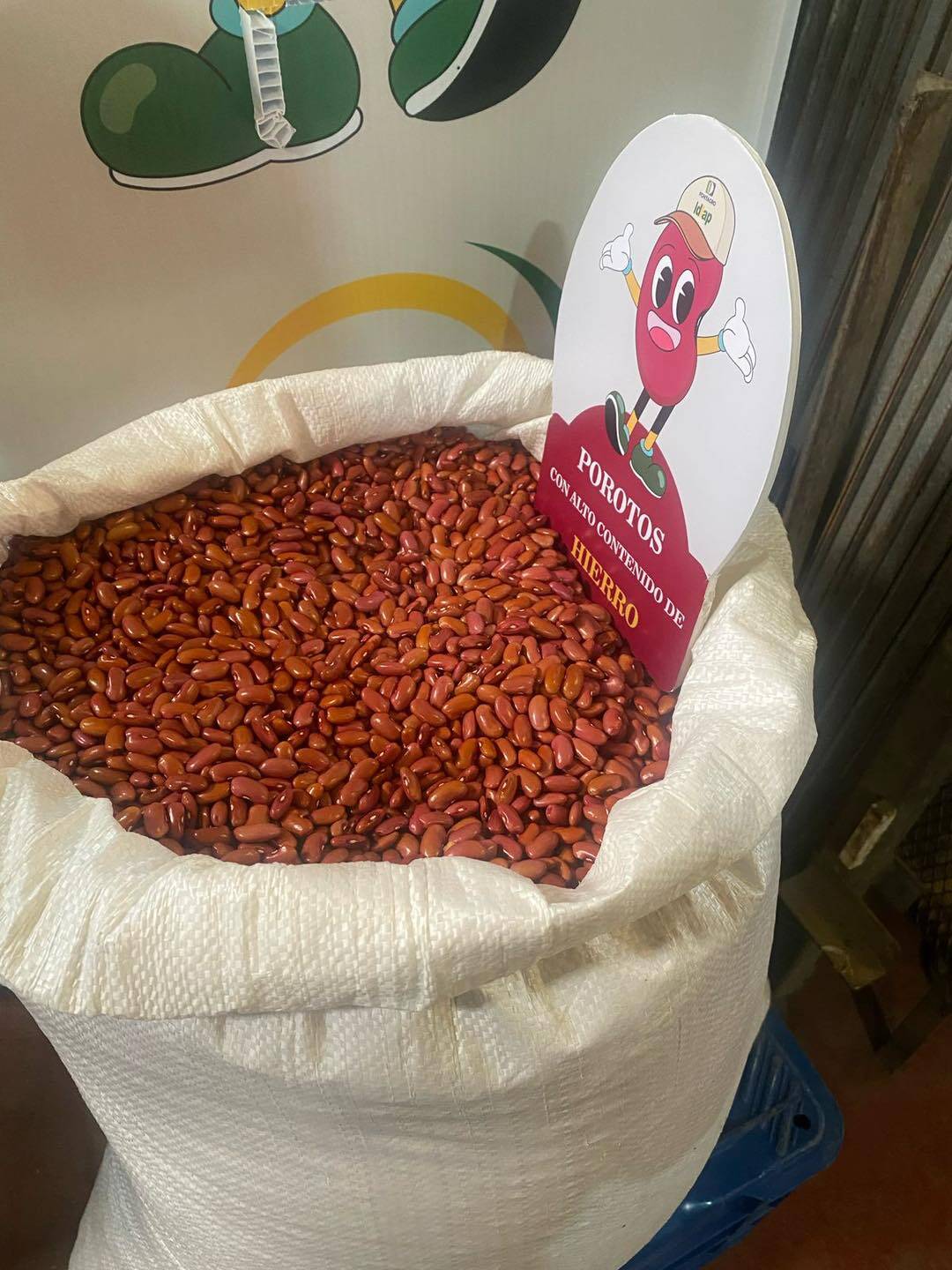 Marketing study of iron-rich beans in Panama