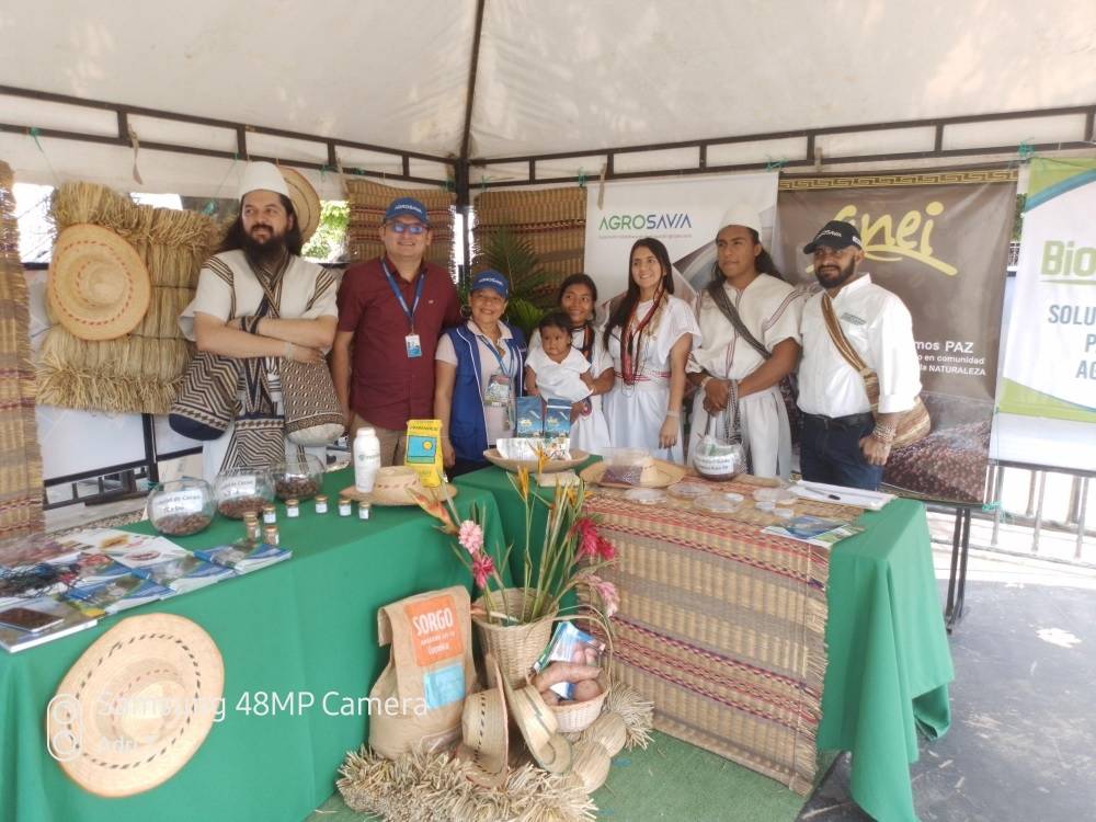 Arhuaca community is first to obtain agroecological biofortified bean harvest in the Sierra Nevada de Santa Marta