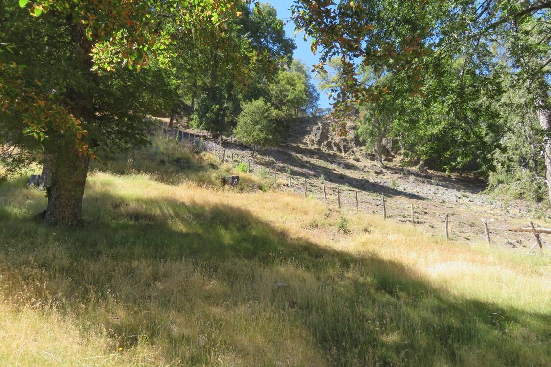 Identification of Innovation Units: Erosion Control in the Cheuquen Nguilliu Community, Icalma