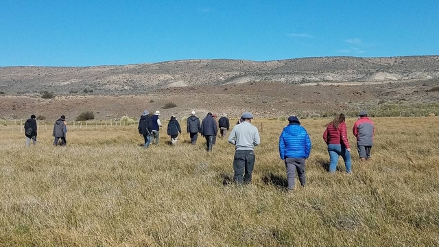 Taller: Pastizales naturales y su utilización en ganadería 