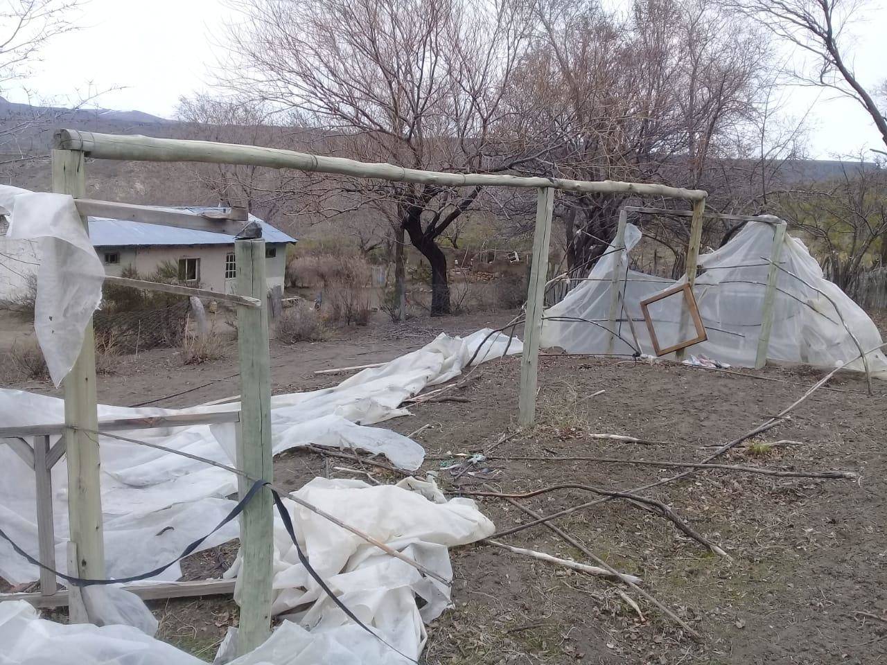 Survey of demonstration fields