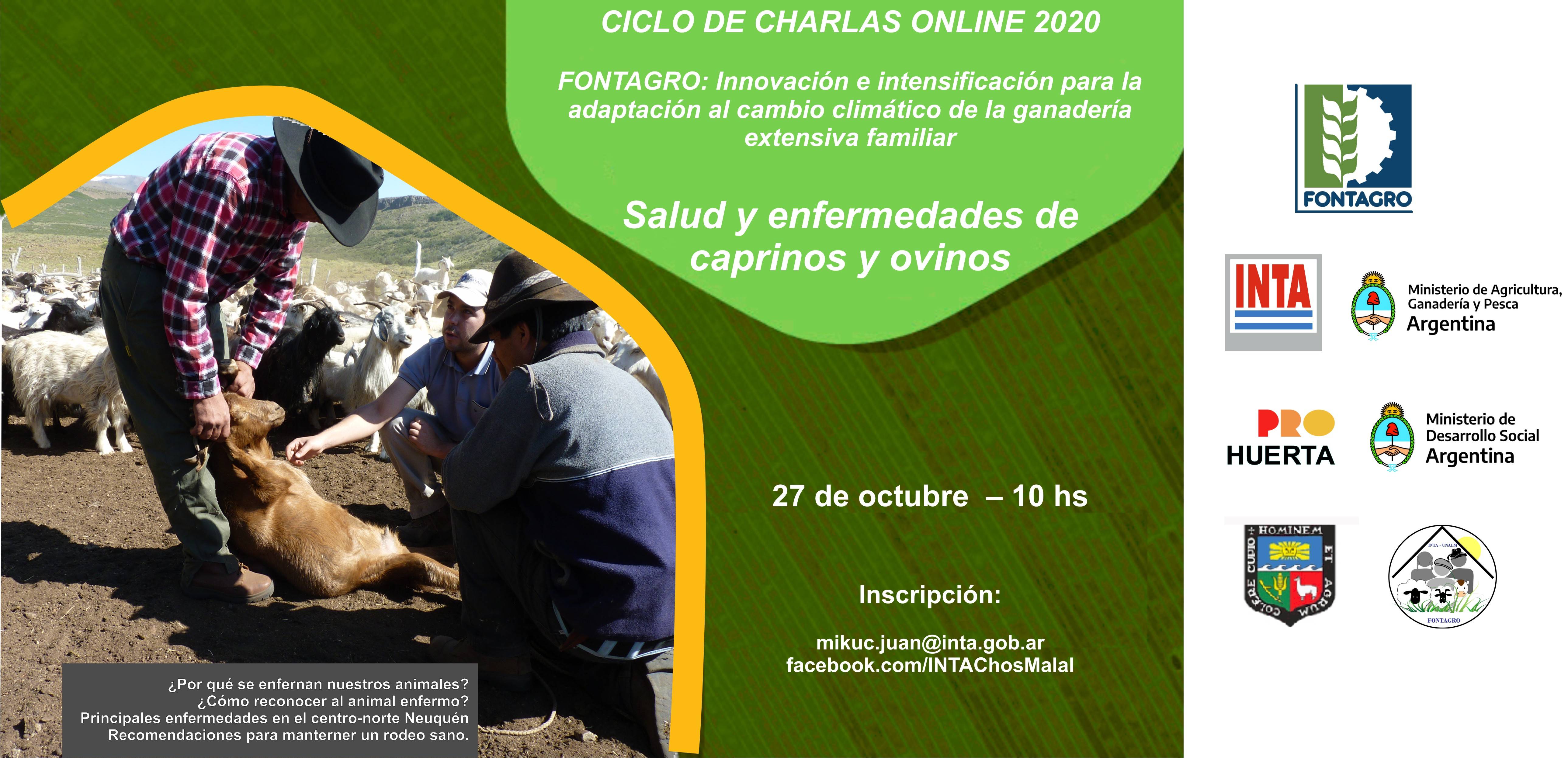 Salud y enfermedades de caprinos y ovinos