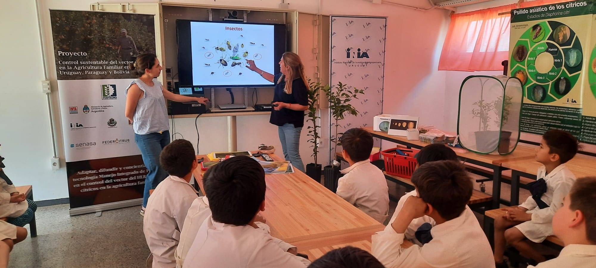 Prevención del HLB: con la mira puesta en las escuelas primarias