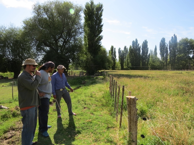 Pasture incorporation and improvement