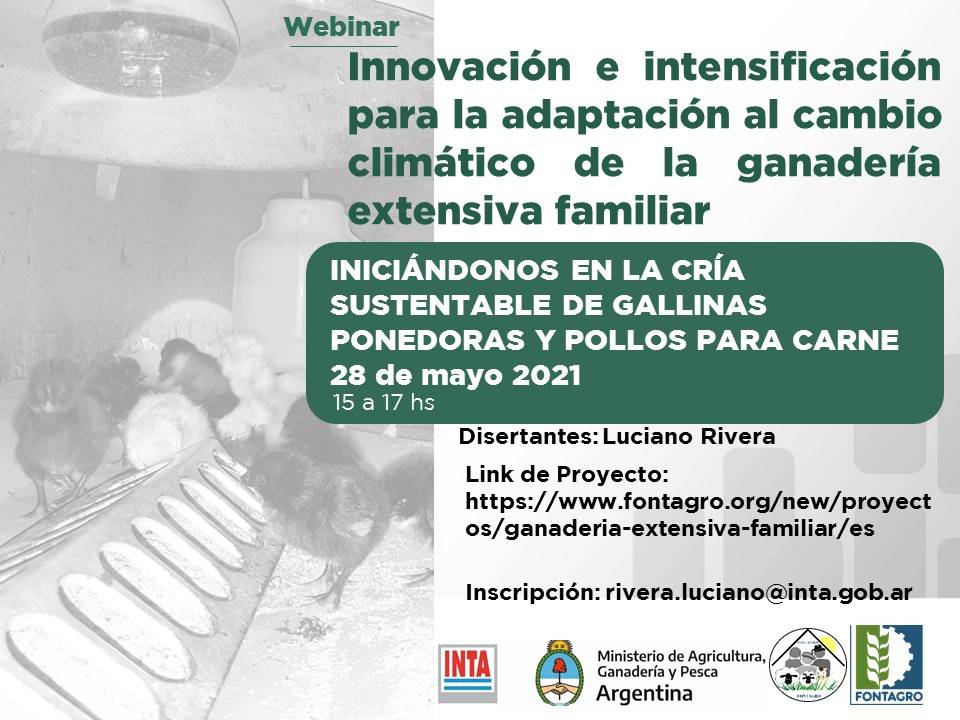 Webinar