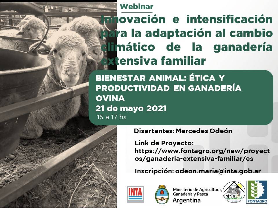Webinar: Bienestar animal: Ética y productividad en ganadería ovina