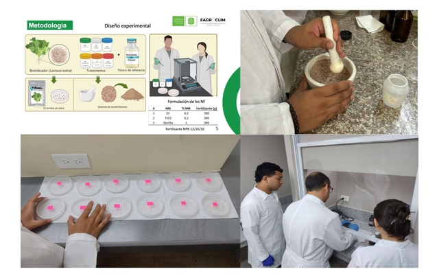 Participation in the 5th International Symposium on Agricultural Engineering