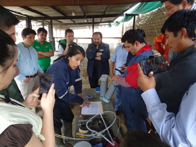 Improvement of Animal Production Systems with Emphasis on Milk Livestock in the Andean Region within the Context of Climate Change