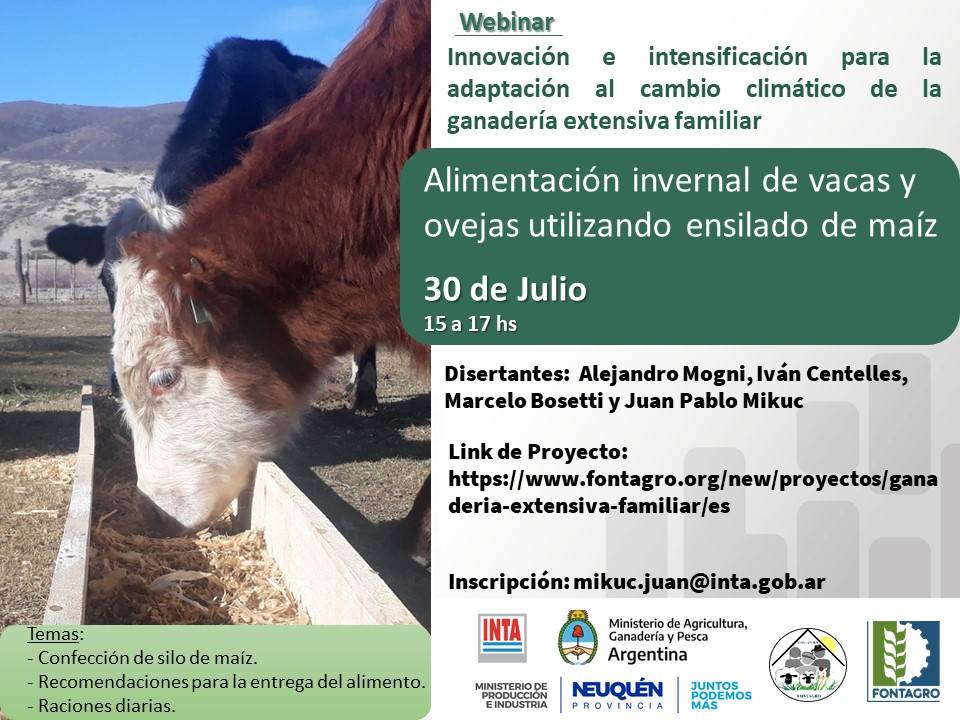 Webinar: Alimentación invernal de vacas y ovejas utilizando ensilado de maíz