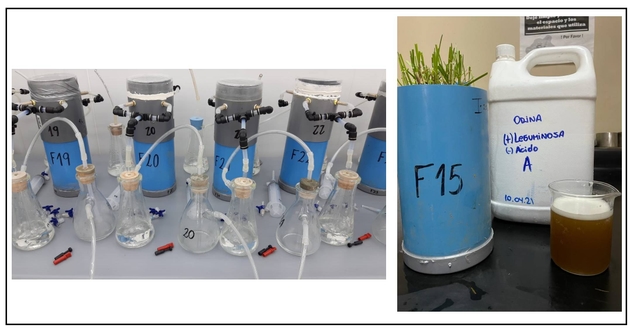 Progress in the study of greenhouse gas emissions in Chile