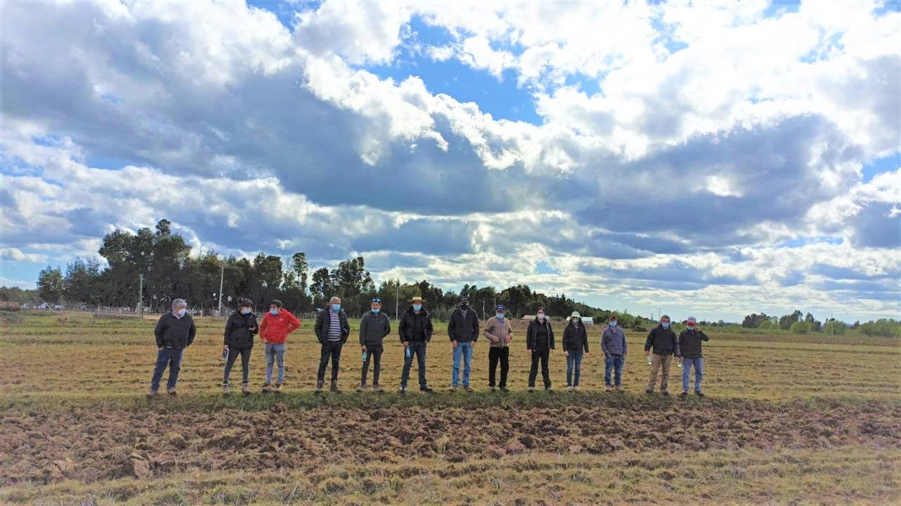 Diagnosis and design workshop of the management strategy to be implemented in each practice plot with the Participatory Innovation Groups (GIP) Ñuble