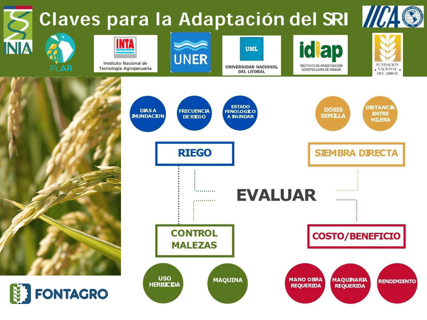 KEYS FOR SRI ADAPTATION